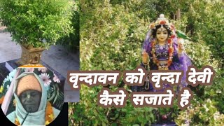 Vrindavan ko vrinda devi kaise sajaati hai @divyagyaan