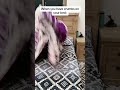 When I get crumbs on my bed #funny #2024 #reels #funnyvideo