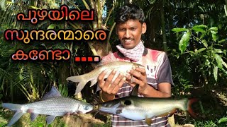 #kerala  fishing.പുഴയിലെ സുന്ദരന്മാരെ കണ്ടോ...🐟😍