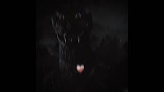 Godzilla vhs#godzilla#godzillavhs