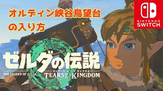 【ゼルダの伝説】ティアーズ オブ ザ キングダム ~オルディン峡谷鳥望台