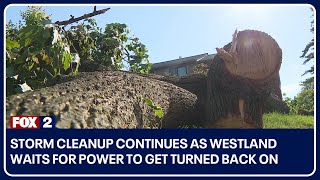 Storm cleanup continues as Westland waits for power to get turned back on