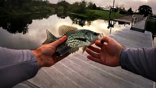 Multi-Species Mornings - Central Florida Canal Fishing