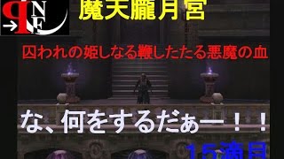 な、何をするだぁー！！【ビフォーside】PS2 １５滴目 「キャッスルヴァニア」 HD版　＜夜部長＞