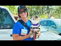 2024 Dog Days of Summer at Heartland Fire and Rescue