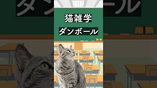 ㉓猫雑学【ダンボール】 #猫 #ねこ #ネコ #雑学 #豆知識 #うんちく #ライフハック #1分雑学