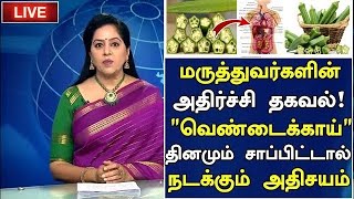 வெண்டைக்காயின் அதிர்ச்சி தகவல்! | Benefits of Vendakkai in Tamil | Lady's Finger Health Tips Tamil