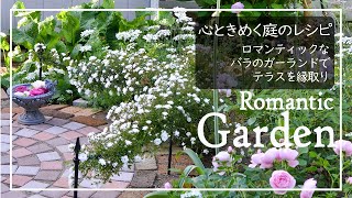 バラのガーランドで円形テラスを縁取り✿世界観を作る✿バラの冬作業ダイジェスト　#園芸 #ガーデニング #バラ庭