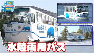 【のりもの図鑑】水陸両用バス  お台場  TOKYO NO KABA（はたらくのりもの）