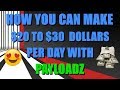 HOW YOU CAN MAKE $20 TO $30 PER DAY WITH PAYLOADZ