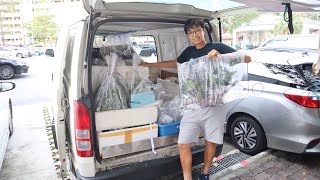 AMAZING AQUATIC PLANT VAN TOUR in Singapore!