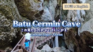 Sacred Serpent? Turtle fossil?　Batu Cermin Cave - Labuan bajo Flores