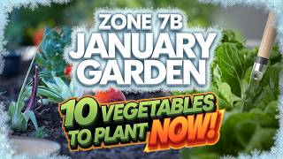 Zone 7b January Garden: 10 Vegetables You Can Plant This Month