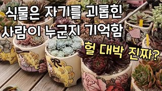 짜루짜루 진짜루 (문의 010.2293.2629)