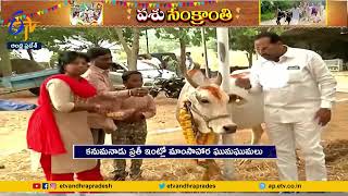 Kanuma Celebrations Starts | రాష్ట్రంలో మొదలైన కనుమ పండగ వేడుకలు