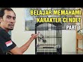 BELAJAR MEMAHAMI!! Karakter Burung Cendet PART 1 || over emosi