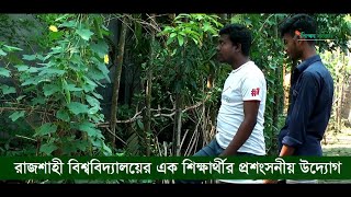 মাকে সাহায্য করতে গিয়ে গাছের প্রেমে পড়েছেন রাজশাহী বিশ্ববিদ্যালয়ের এক শিক্ষার্থী