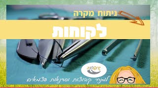 [סוגיות מהשטח בהנחיית קבוצות]: אוכלוסיית היעד