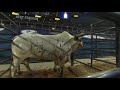 The Battle For The WORLD CHAMPION Bucking Bull Title 2020!