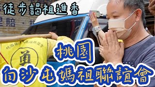 【看熱鬧】桃園賜福!!!桃園白沙屯媽祖聯誼會徒步前往苗栗白沙屯拱天宮謁祖進香~