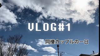 【Vlog】同棲カップルの一日/ご近所散歩