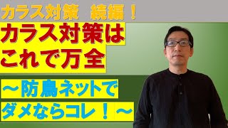 カラス対策　続編　「カラス対策はこれで万全」〜防鳥ネットでダメならコレ！〜