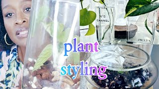 Houseplant Styling #propagationjars #glassvessels