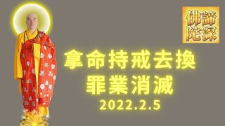 諦深佛陀開示20220205-47|拿命持戒去換罪業消滅|#諦深大師#佛法#古佛再来#须弥山佛国网