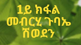 1ይ ክፋል ጉባኤ ሽወደን ብዝምልከት መብርሂ