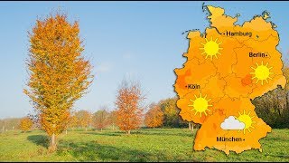 Altweibersommer in Bestform (05.10.2018)