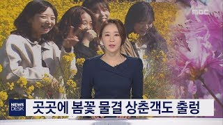 곳곳에 봄꽃 물결 상춘객도 출렁     박성동 기자