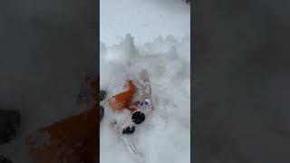 gemmy animated rudolph FOUND BURIED IN SNOW #notclickbate #snow #snowy #lorenzo #snowydays  #rudolph