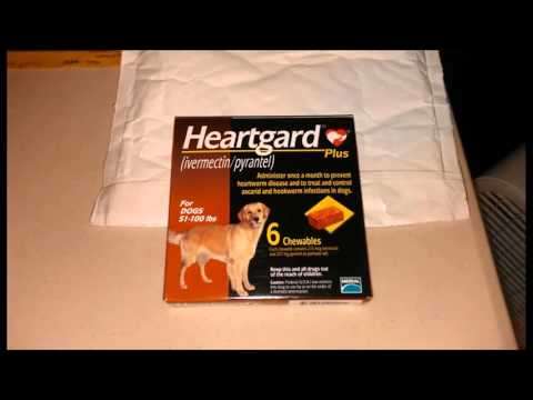 How To Get Heartgard Plus Without A Prescription - Proof How To Get Heartgard Plus Without A Prescription - Proof