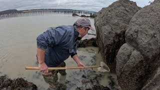 Comment pêcher son plateau de fruits de mer