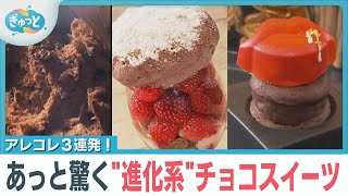 アレコレ３連発！あっと驚く”進化系”チョコスイーツ【ぎゅっと】『2025年2月11日(火)OA』