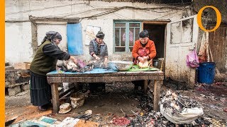 Food market in Telavi: Georgian food tour in a local market