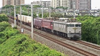 電気機関車EF81（11）　～EF81重連は303号機が先頭～