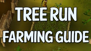 Tree Fruit Tree Farming Run Guide Oldschool Runescape