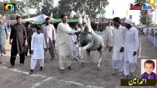 Chardha Suraj ll Horse Dance ll Murad K Kathia Harppa Shaiwal ll 2022