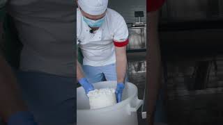 This is how Ricotta is made. 🧀 #ricotta #cheese #howitsmade