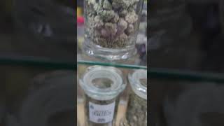 Inside Marijuana Dispensary In Michigan
