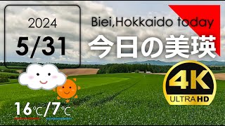 今日のびえい！【拡大版】北海道-美瑛町の風景を毎日発信中｜2024.5.31.