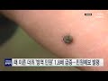 때 이른 더위 방역 민원 1.8배 급증...민원예보 발령 ytn 사이언스