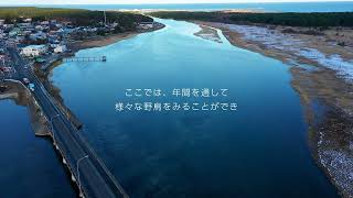 あおもり空中散歩 Vol.7 「尾駮沼の白鳥」