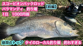 スコーピオンロッドでバラマンディ　釣り堀【前編】　パックロッドで海外釣行　タイのローカル　バラ堀は釣れすぎる‼️昼間のトップで連発‼️シマノ　スコーピオン1510RS-5 アンタレスDCMDXG