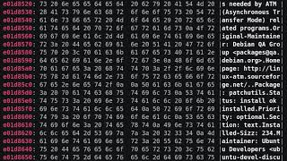 Meltdown in Action: Dumping memory