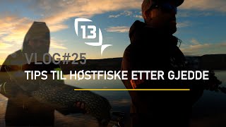 Tips til HØSTFISKE etter GJEDDE // VLOG#25