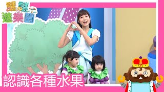 謎謎遊樂園｜認識各種水果｜神奇寶貝幼兒園 ｜2020.12.14