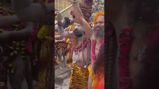 Mahakumbh prayagraj Nagao ke darshan