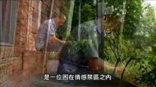 TV0966 情感禁区 (國語)